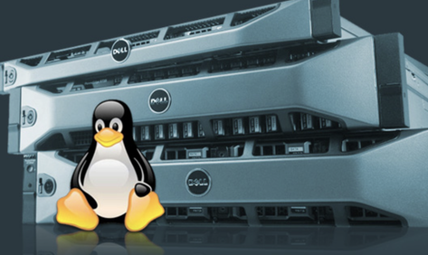 dell linux servers